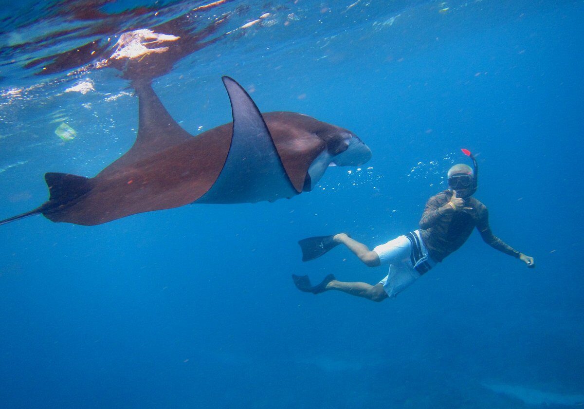 manta-bay